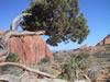 IMG_0066.jpg (145,305 bytes)