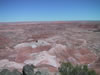 IMG_0007.jpg (80,759 bytes)
