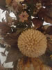 Curaao Museum: De bloemen in dit bloemstuk zijn allemaal gemaakt van schelpen (52kb)
