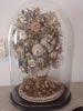 Curaao Museum: De bloemen in dit bloemstuk zijn allemaal gemaakt van schelpen (41kb)