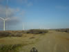 Windmolens in de buurt van Playa Kanoa (32kb)