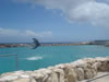Sea-aquarium: Dolphin training show (38kb)