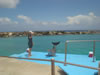 Sea-aquarium: Dolphin training show (37kb)