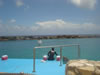 Sea-aquarium: Dolphin training show (32kb)