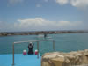 Sea-aquarium: Dolphin training show (34kb)