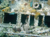 Caracasbaai: tugboat (80kb)
