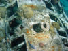 Caracasbaai: tugboat (94kb)