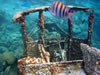 Caracasbaai: tugboat (86kb)