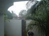 Tropische regenbui (59kb)