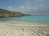 Playa Cas Aboa: witte flamingo (48kb)