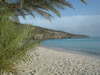 Playa Cas Aboa (73kb)