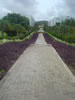 Tuin van kantorenpark (56kb)