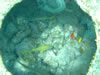 PortoMari baai (58kb)