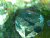 PortoMari baai (47kb)