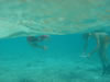 PortoMari baai (20kb)