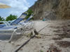 PortoMari strand: Leguaan (84kb)