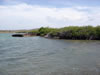 Sint Joris baai (44kb)
