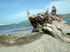 Sint Jorisbaai (77kb)