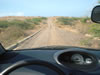 Geiten op de weg (56kb)