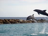 DSC00366.jpg (51kb)