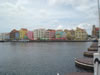 DSC00544.jpg (50kb)