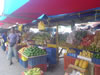 DSC00565.jpg (69kb)