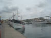 DSC00567.jpg (35kb)