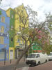 DSC00571.jpg (81kb)