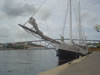 DSC00572.jpg (40kb)