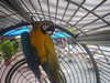 DSC00580.jpg (78kb)