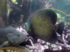 DSC00587.jpg (66kb)