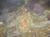 DSC00590.jpg (55kb)