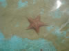 DSC00599.jpg (45kb)