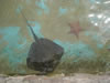 DSC00602.jpg (49kb)