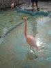 DSC00607.jpg (55kb)