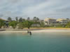 DSC00616.jpg (40kb)