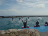 DSC00620.jpg (41kb)