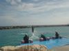 DSC00626.jpg (37kb)