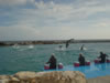 DSC00628.jpg (38kb)