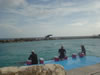 DSC00629.jpg (36kb)