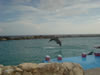DSC00635.jpg (38kb)