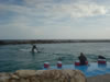 DSC00637.jpg (37kb)