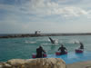 DSC00642.jpg (39kb)