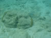 PortoMari strand (43kb)