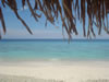 Playa Kalki (46kb)