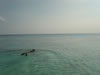 Playa Kalki (24kb)