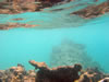 Snorkelen Playa Kalki (55kb)