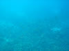 Snorkelen Playa Kalki (22kb)