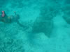 Snorkelen Playa Kalki (35kb)