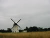 105_0587_IMG.jpg (34kb)